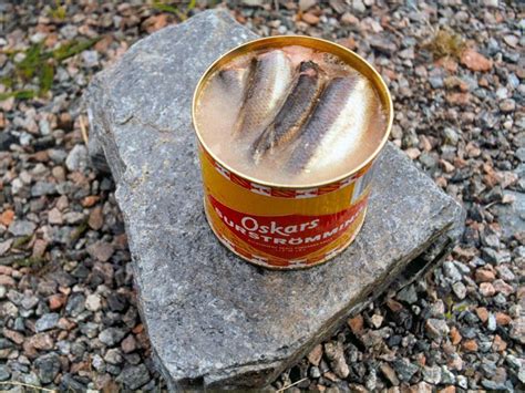 SURSTRÖMMING